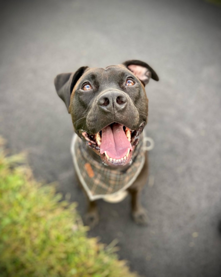 Zeus