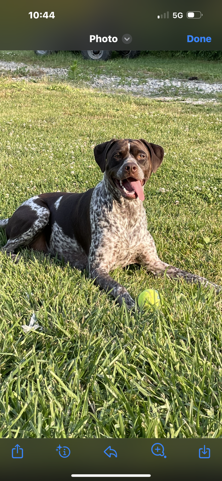 Luna