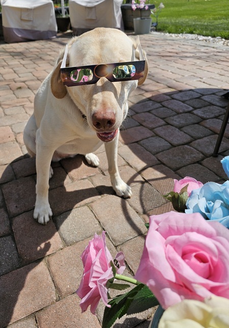 Maybelle