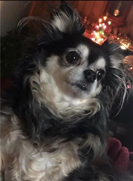 Lexie 