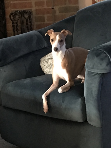 Sophie