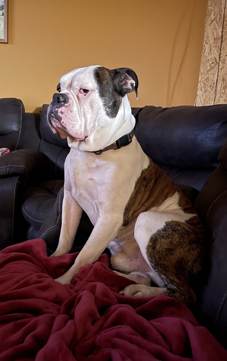 Duke