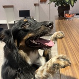 Entry image for Winston 