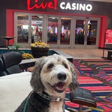 Entry image for Winnie 