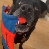 Entry image for Gordon 