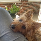 Entry image for Zeke