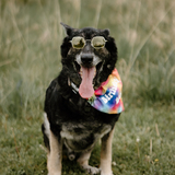 Entry image for Kaio