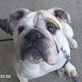 Entry image for Malibu