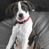 Entry image for Oakley