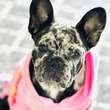 Entry image for Ella