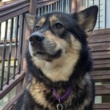 Entry image for Annie