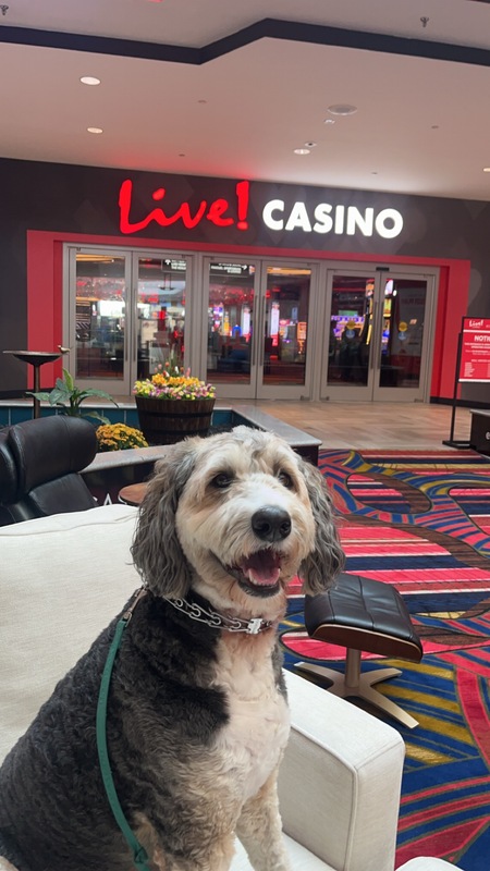 Entry image for Winnie . Clicking this image will show a larger photo