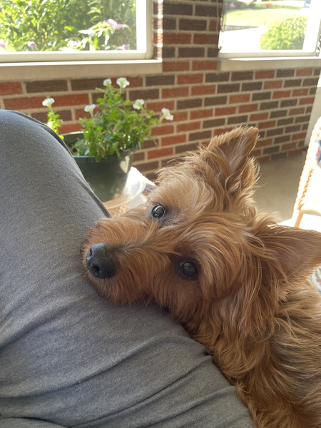 Entry image for Zeke. Clicking this image will show a larger photo