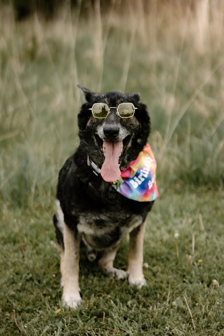 Entry image for Kaio. Clicking this image will show a larger photo