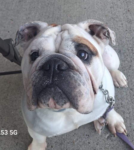 Entry image for Malibu. Clicking this image will show a larger photo