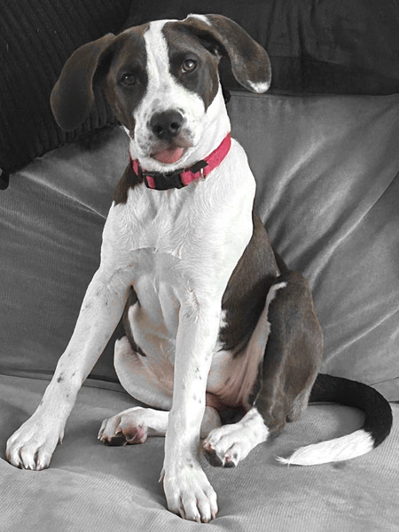 Entry image for Oakley. Clicking this image will show a larger photo