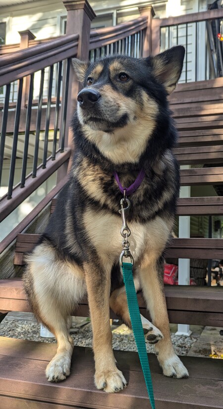 Entry image for Annie. Clicking this image will show a larger photo