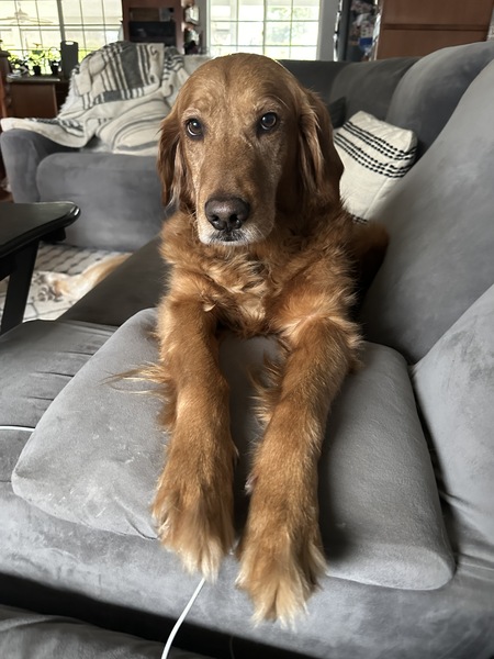 Gabby 