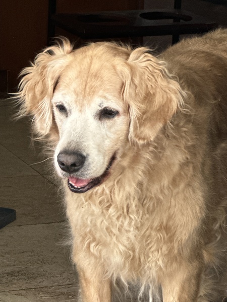Bella