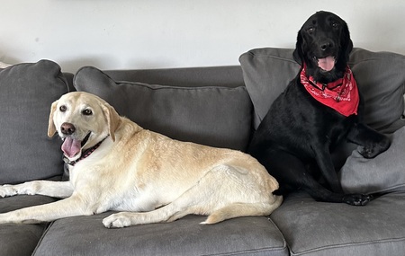 Stella and Lucy