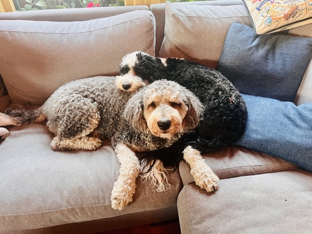 Frankie & Maggie