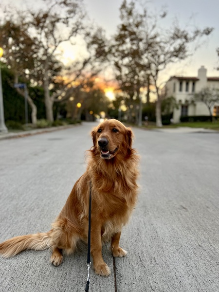 Winnie