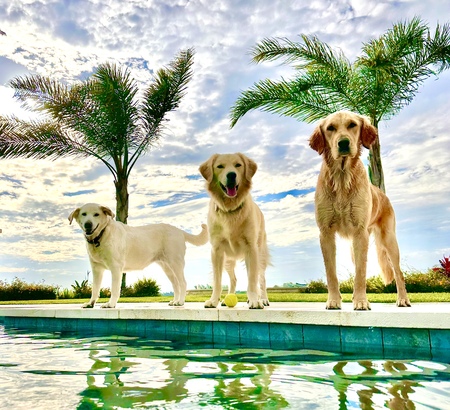 Maybelle, Beau and Trudy