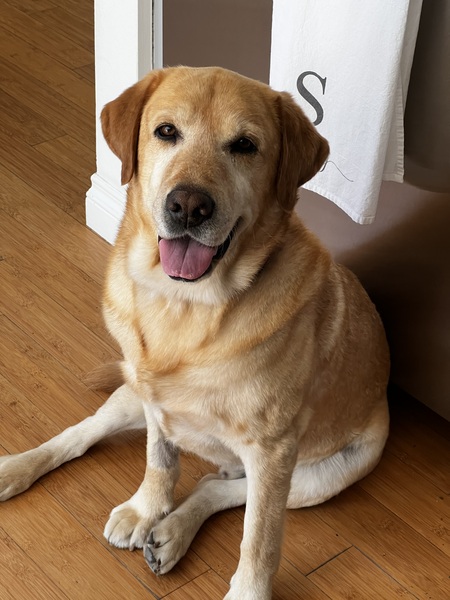 Otto