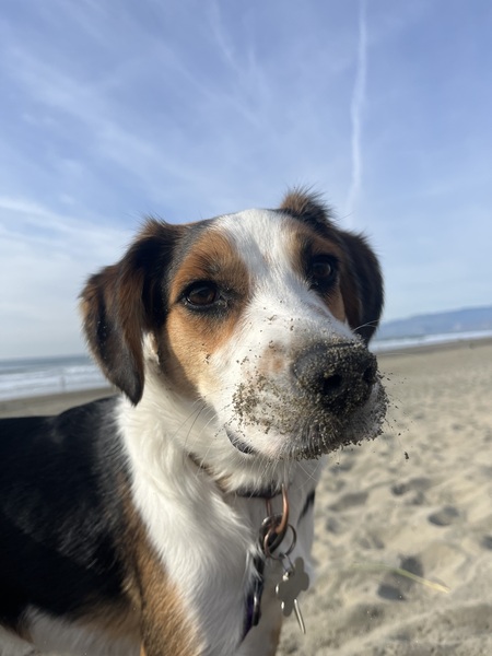 Winston