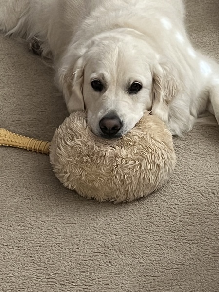 Max