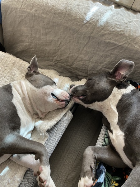 Mahina & Makana 