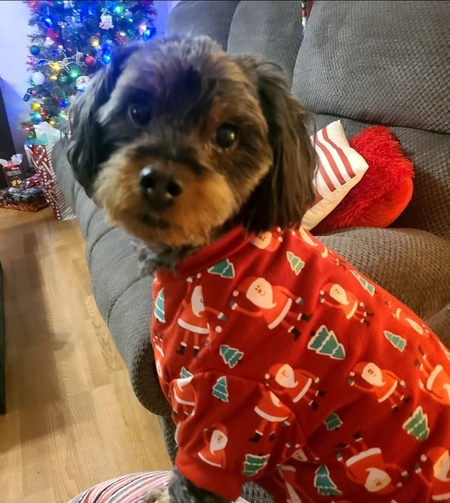 Cooper