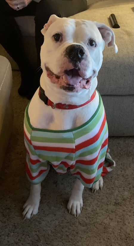 Tucker 