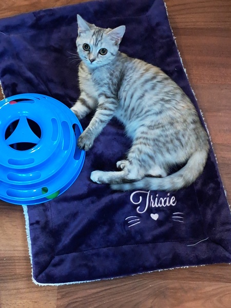 Trixie