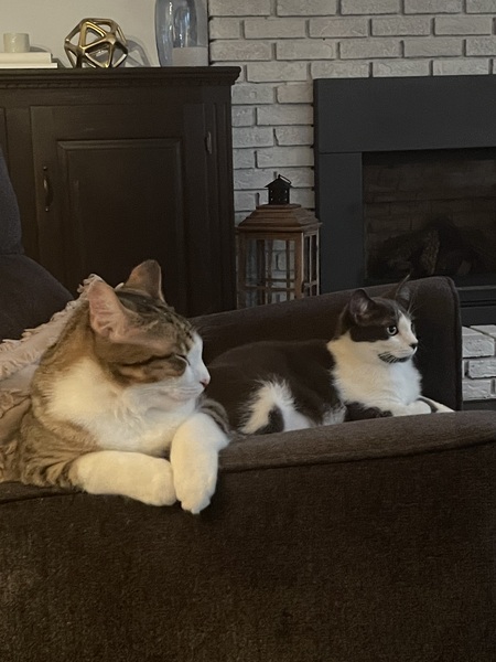 Tony & Zeke