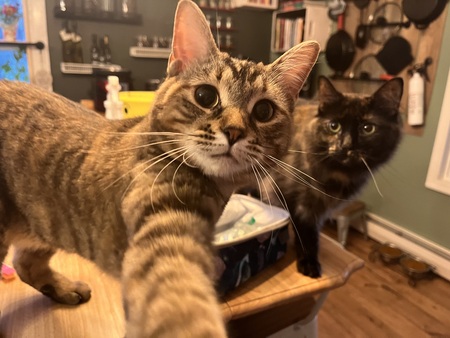 Polly McMittens and Luna