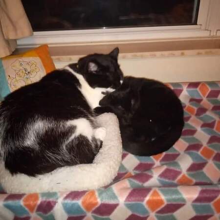 Mama Cass and Gibson