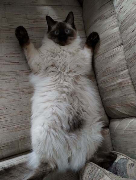 Tater