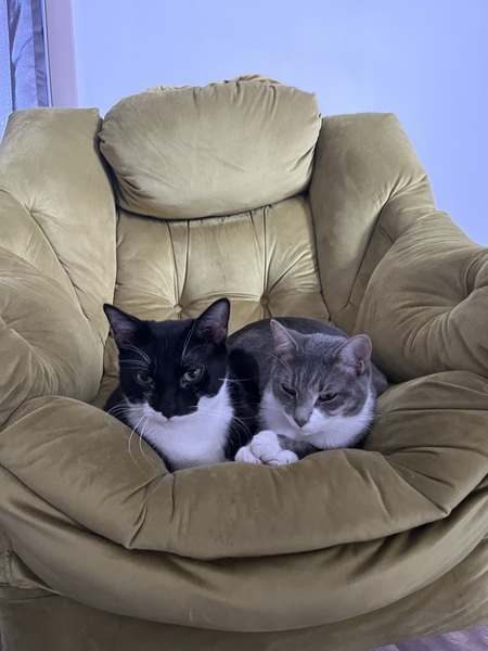 Mr. Larry (left) and Vivienne (right)
