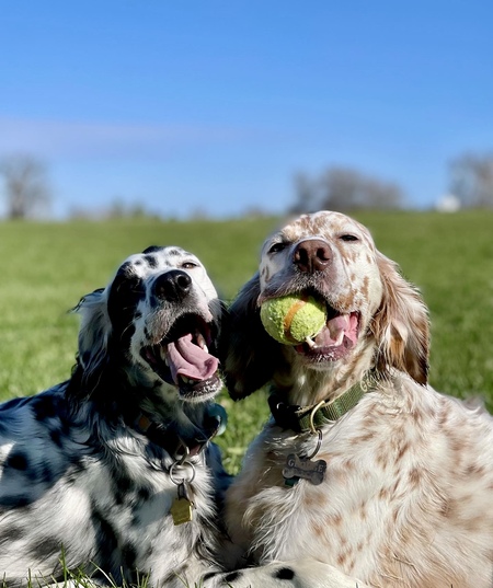 Hank and George