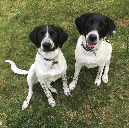 Jameson and Ginger