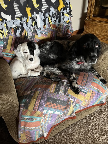 Daisy & Kerby