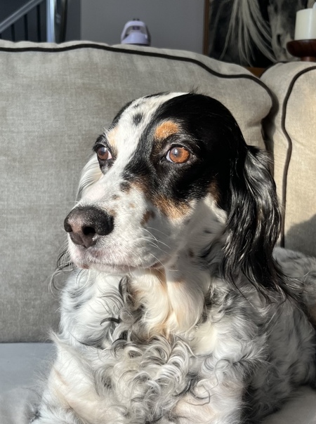 Ruby