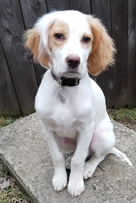 Remy 