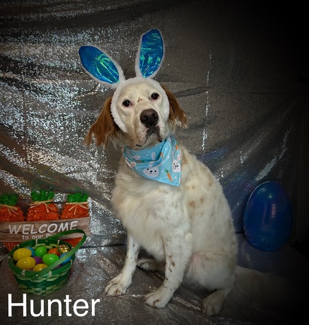 Hunter