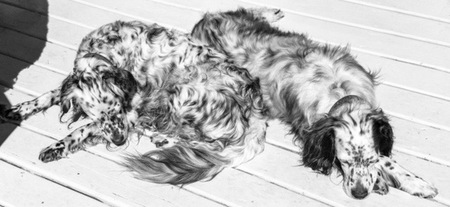 Birch and Tilly
