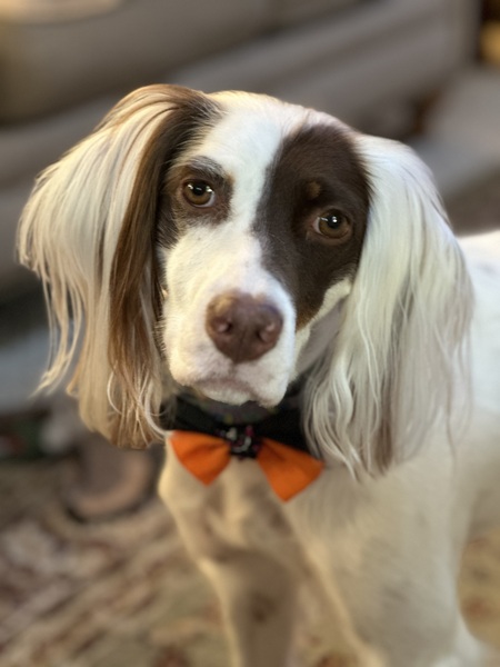 Millie