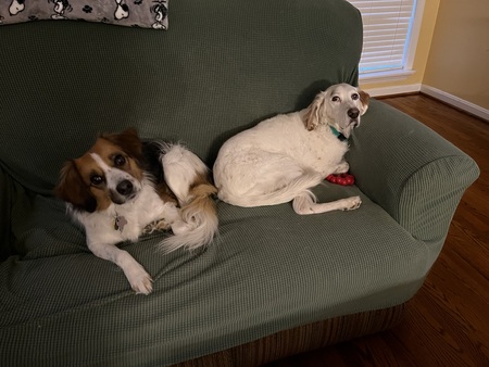 Cali and Ryker Ferris