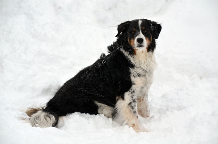 Murphy