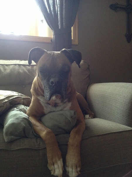 Barkley
